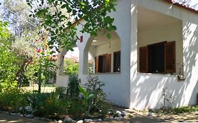 Garden Bungalow Helios