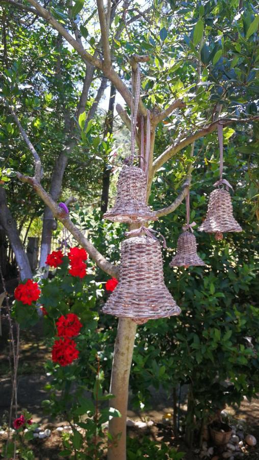 Garden Bungalow Valentina Ставрос Екстериор снимка