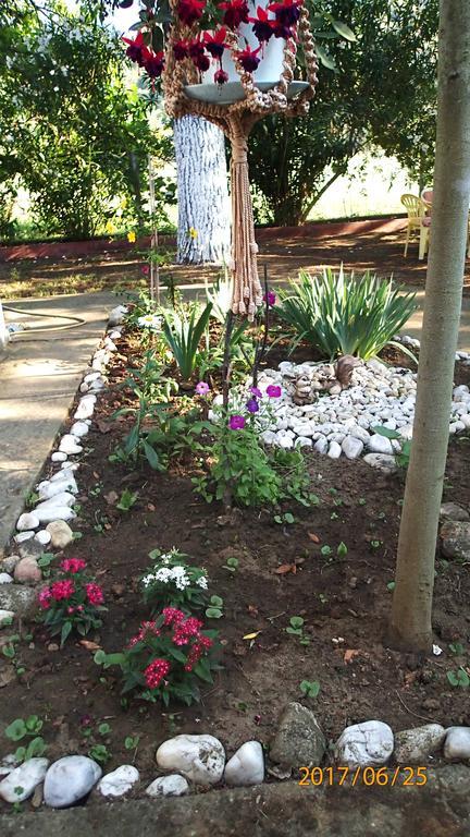 Garden Bungalow Valentina Ставрос Екстериор снимка