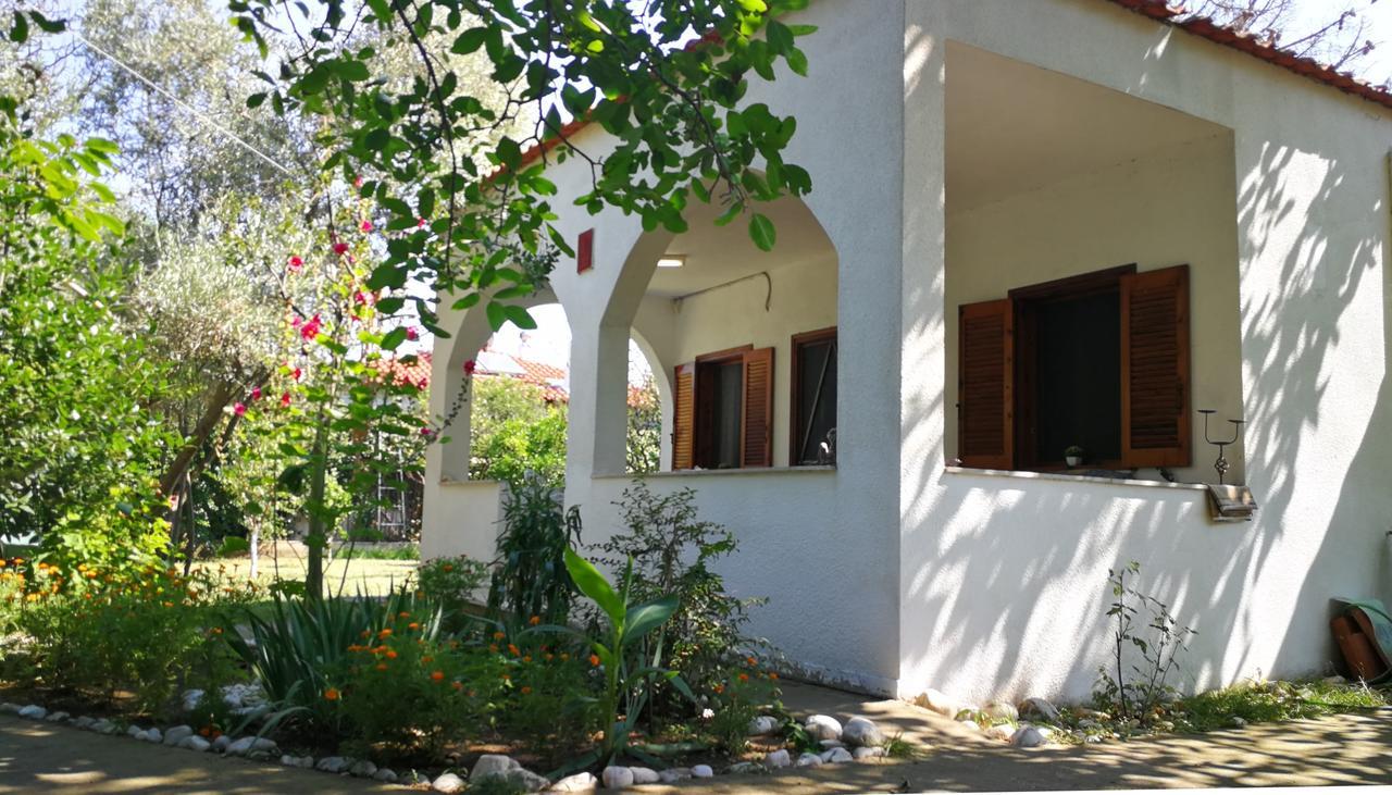 Garden Bungalow Valentina Ставрос Екстериор снимка